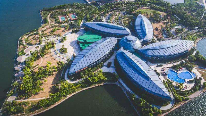 上海自贸区临港新片区首个全功能型资金池启用