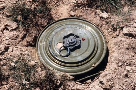 尼日爾西南部發生地雷爆炸至少7人死亡