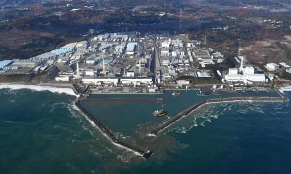 時隔2年 日本福島近海捕撈魚檢出放射性物質超標