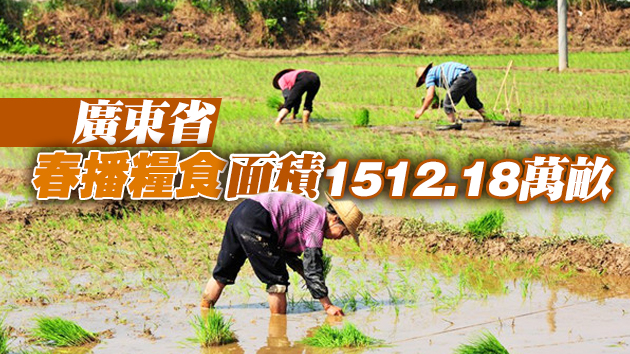廣東預計春播農作物超2985萬畝