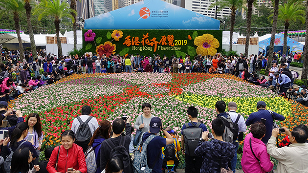 香港花卉展移師網上舉行 市民可安坐家中賞花抗疫