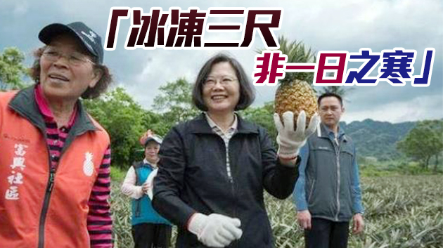 大陸暫停進口台灣菠蘿 蔡英文當局急了