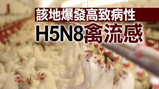 本港暫停進口韓國全羅南道長興郡禽肉產品