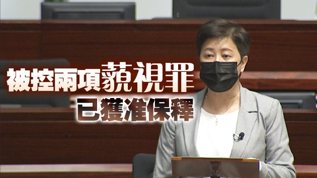 涉干擾立法會委員會選舉 民主黨前議員黃碧雲被捕