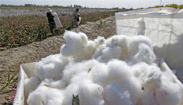 BCI官網下架「抵制新疆棉花」聲明