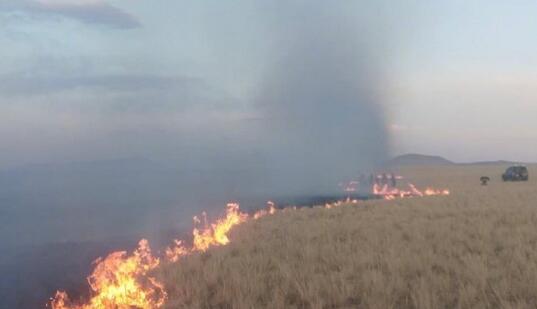 【追蹤報道】蒙古國草原大火已撲滅 中方撲救人員陸續撤離
