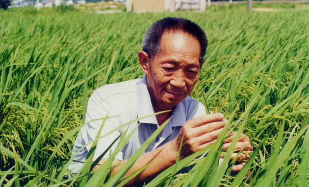 袁隆平秘書：袁隆平目前在醫院，網傳逝世是假消息