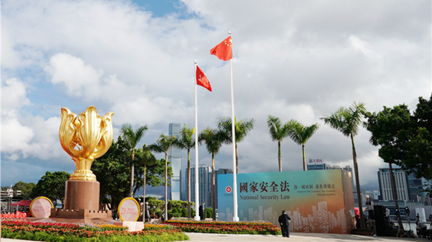 香港政協青年聯會堅決支持立法會通過完善選舉制度條例