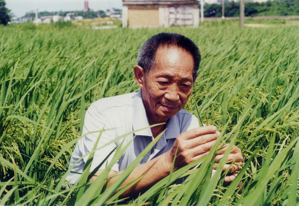 【計出新角度】中國必須重視糧食產業的發展