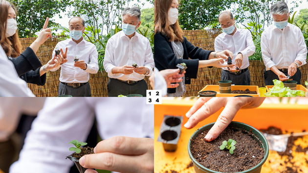 港燈響應世界環境日 鼓勵員工種植復育「鶴藪白」