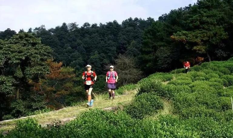 國家體育總局：暫停山地越野等高危體育賽事