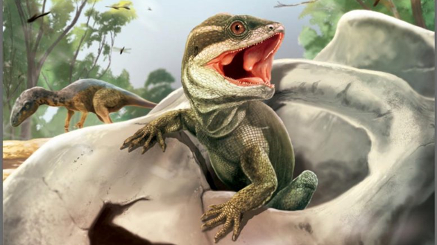 《自然》：阿根廷約2.31億年前一化石揭示鱗龍類崛起  