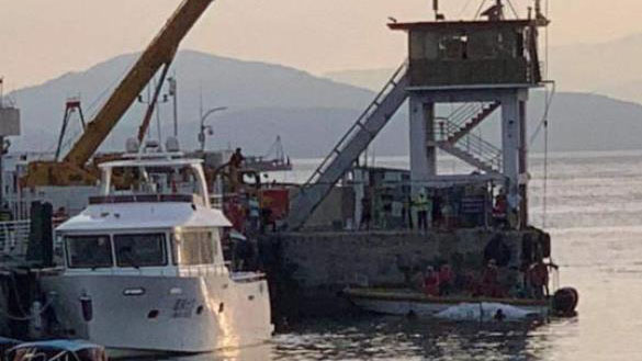 港深交界海域發現一頭布氏鯨屍體 死亡原因正在調查