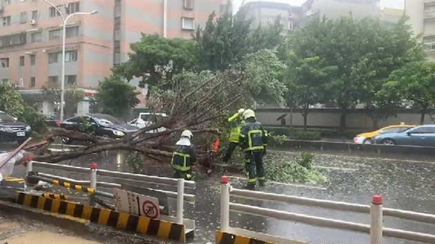  台灣北市2路樹倒塌砸中1轎車 17縣市需防豪、大雨 