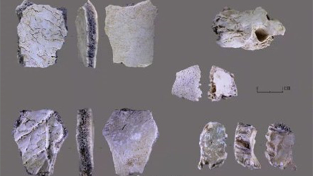 河南魯山仙人洞遺址發現3萬年前人類頭骨