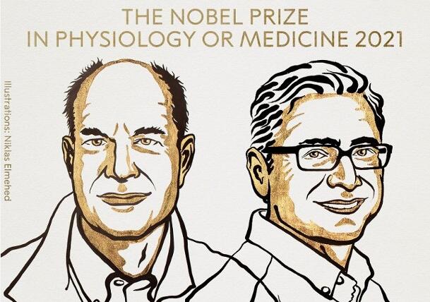 諾貝爾醫學獎公布　2學者發現細胞溫度及觸覺感受器獲獎