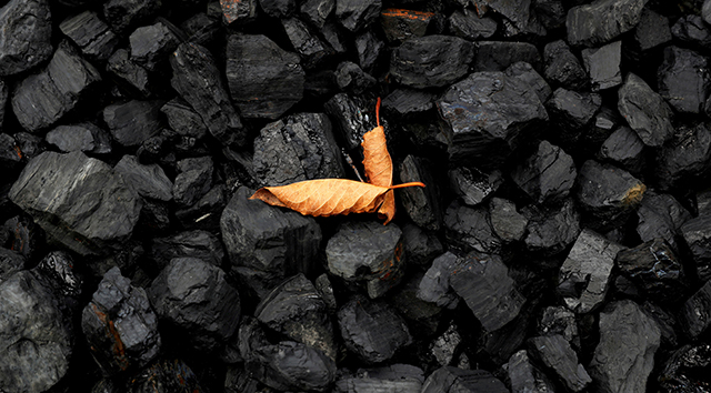 外媒：中國煤炭進口大增 主要來自俄羅斯和印尼而不是澳洲