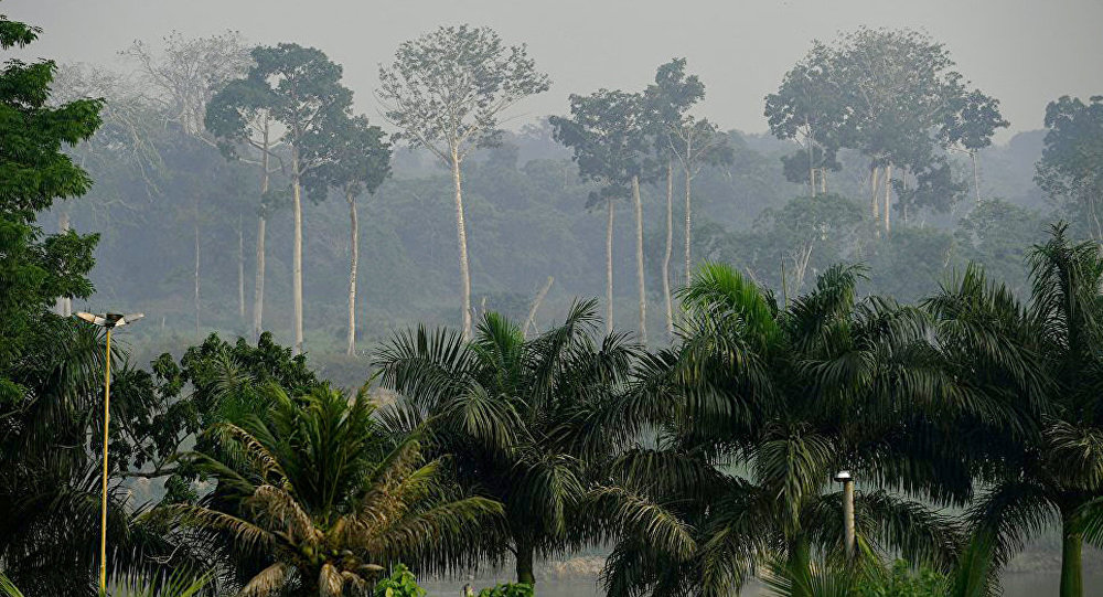 多國領導人在氣候峰會COP26提出應對氣候變化目標