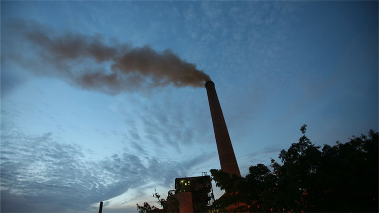 全球碳排放回升至接近疫情前水平 預計今年排放量上升4.9%