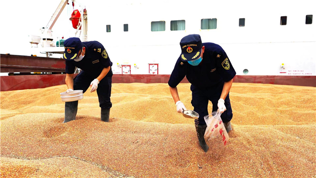 廣州海關保障進口糧食供應鏈穩定 前九個月進口糧食逾600萬噸