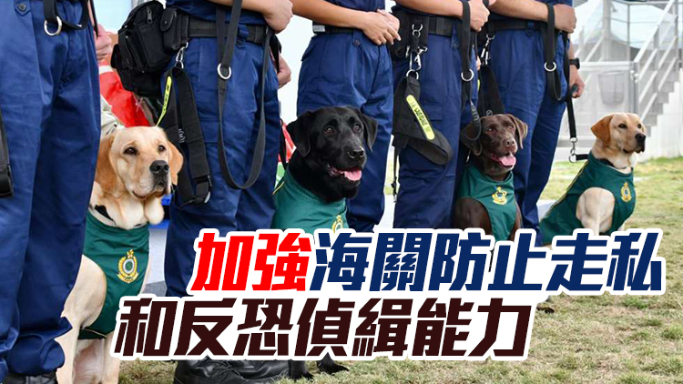 海關成立首支槍械搜查犬隊 堵截槍械非法流入本港
