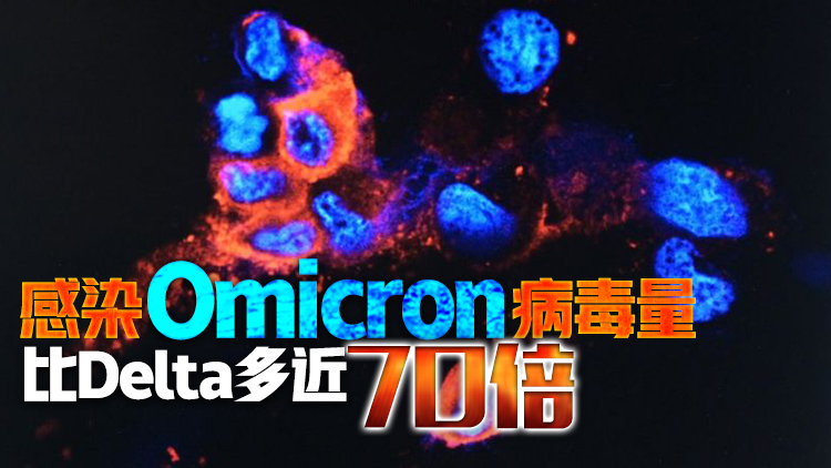 港大研究：Omicron可於支氣管大量複製 或引致更多重症及死亡