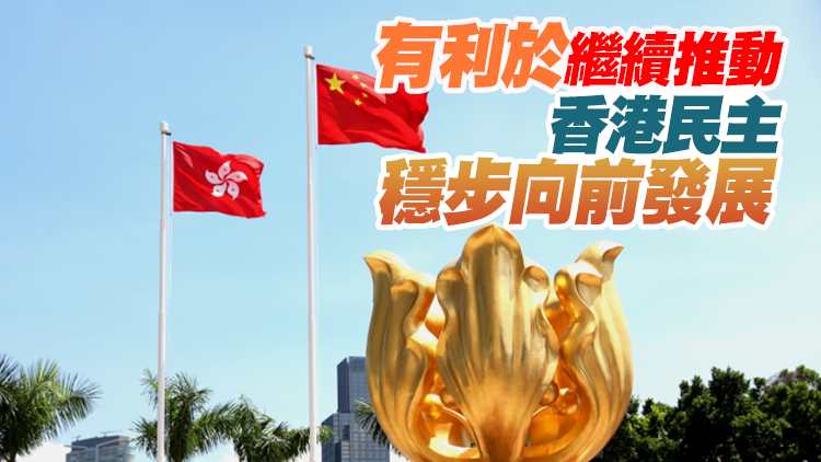 國務院港澳辦負責人就《「一國兩制」下香港的民主發展》白皮書答記者問