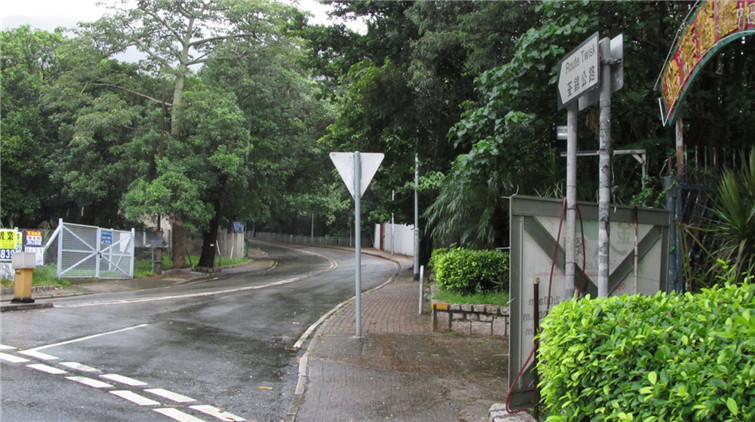 荃錦公路一電單車疑撞野豬 司機與男童受傷送院