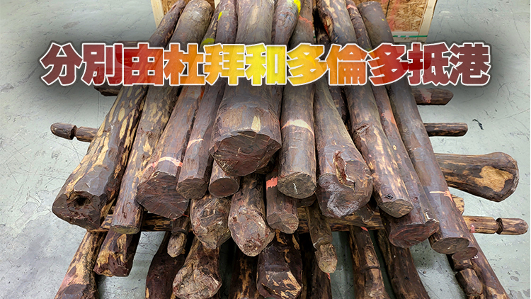 海關檢獲約4120公斤懷疑受管制紫檀木材 市值約2070萬元
