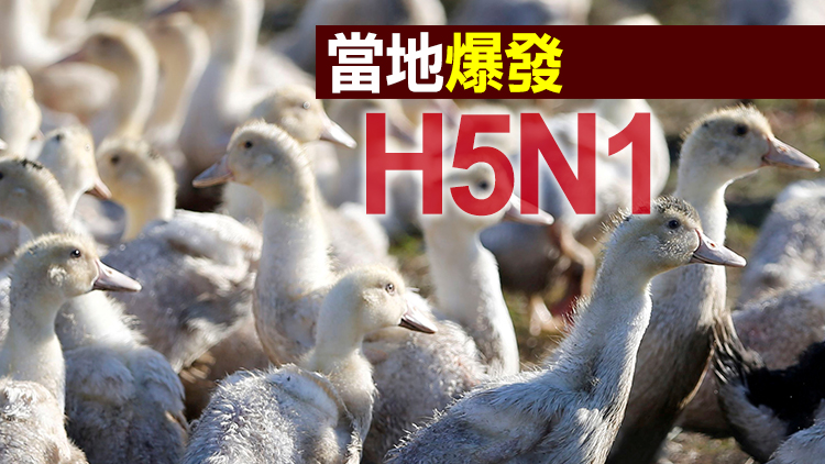 本港暫停進口韓國部分地區禽肉及禽類產品