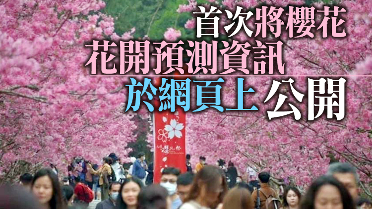 台灣首度櫻花預報 料日月潭八重櫻2月中下旬盛開