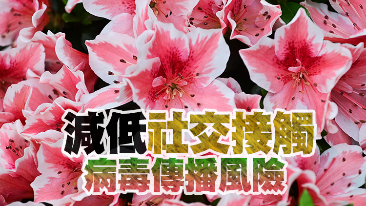 2022年香港花卉展覽取消 康文署：考慮以其他方式展出