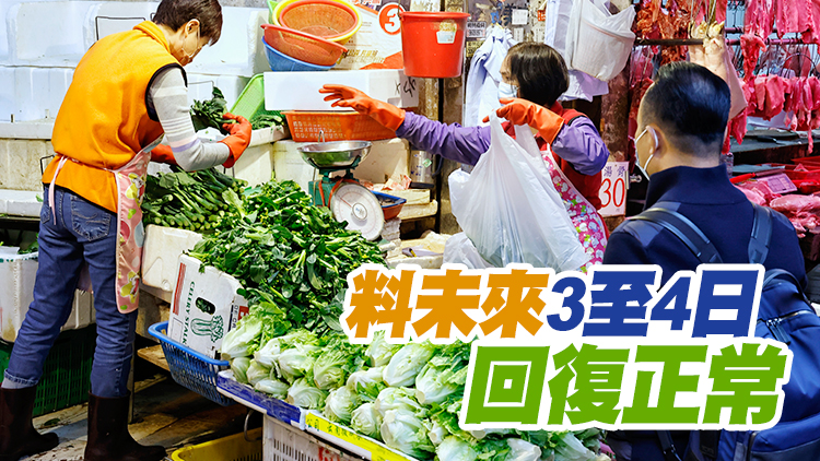 香港食品委員會主席吳永恩：本港蔬菜供應量已恢復九成