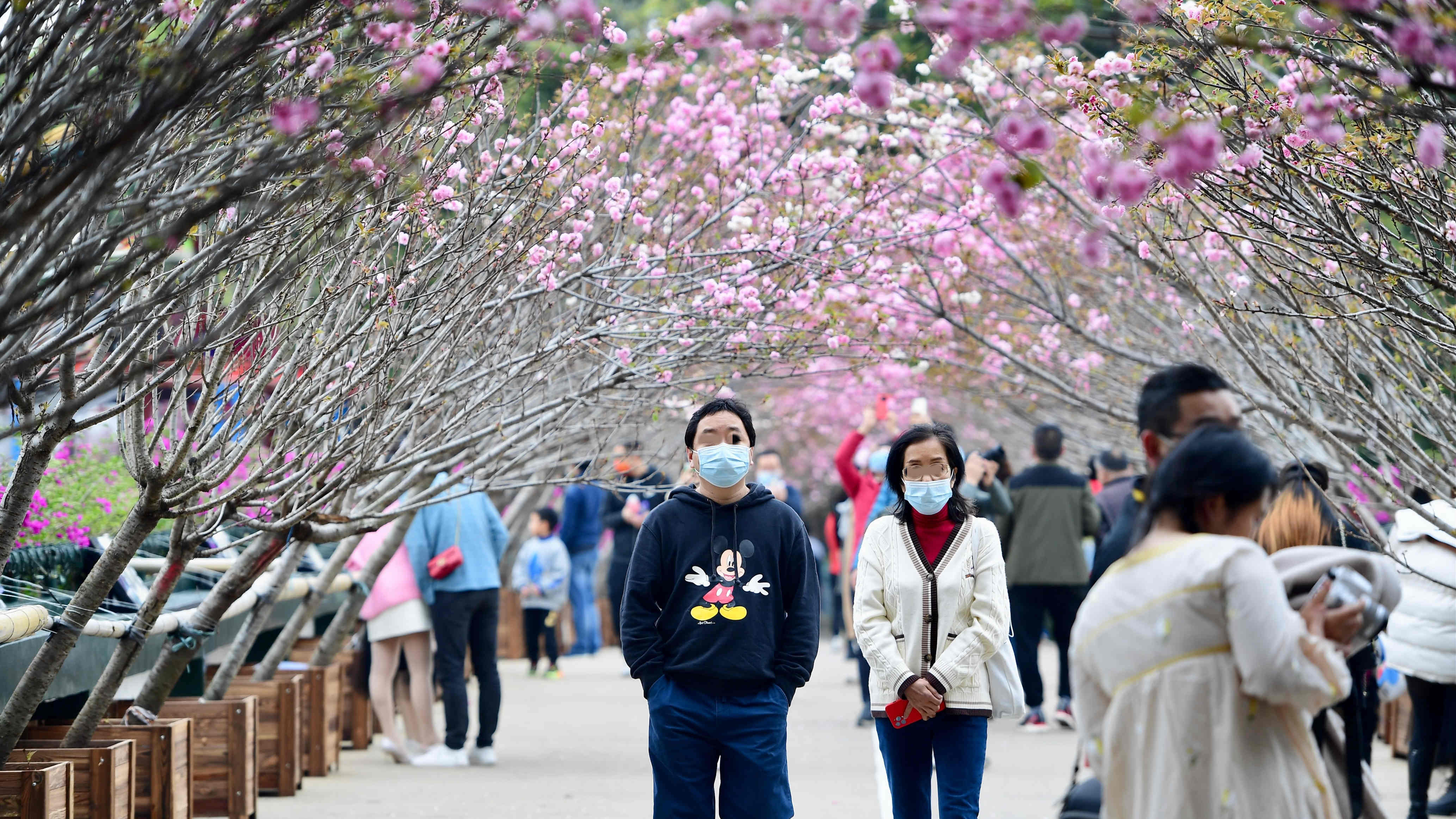 深圳19日新增8例本土確診病例