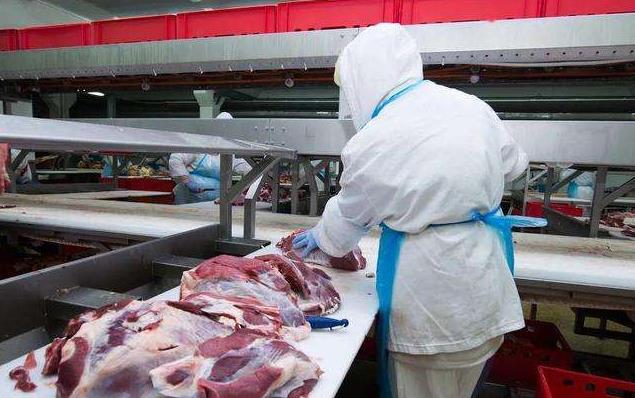 巴拉圭與俄羅斯相關企業決定暫停兩國間的牛肉貿易