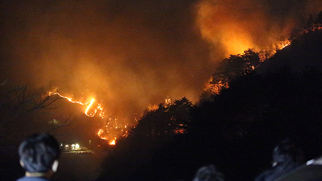 韓多地爆發大型山火 首次發布全國最高級別火險預警