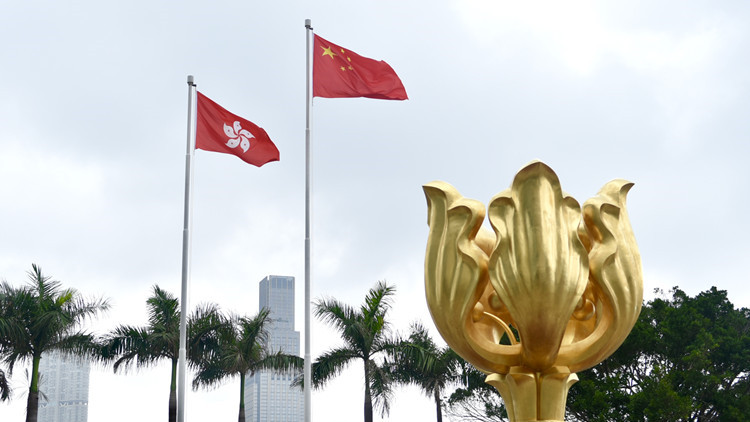 【聲音】姚志勝委員：政府工作報告體現穩中求進總基調香港須更好融入國家大局