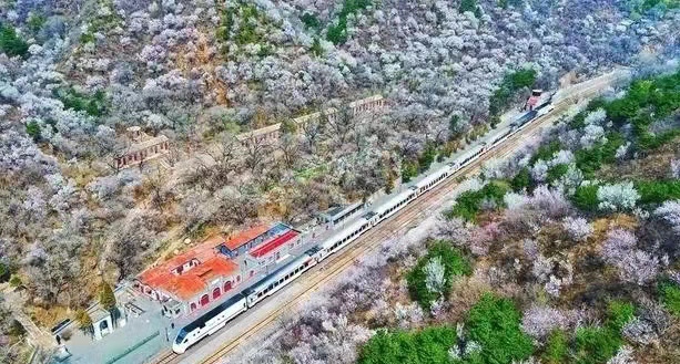 北京：「開往春天的列車」22日起每日開行七對
