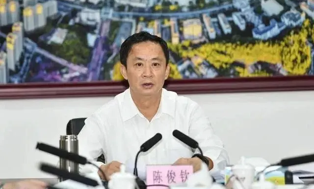 廣東省梅州市委原常委、政法委原書記陳俊欽被「雙開」