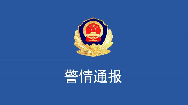 上海警方破獲倒賣偽造防疫車輛通行證案