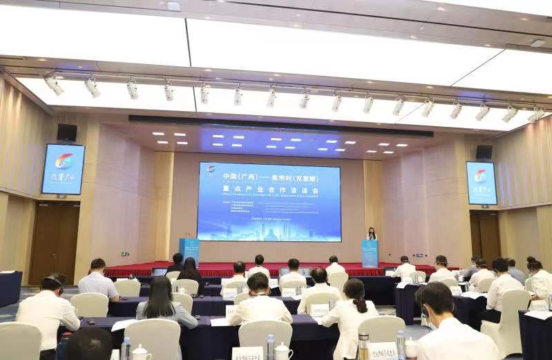 中國（廣西）—奧地利（克恩滕）重點產業合作洽談會召開