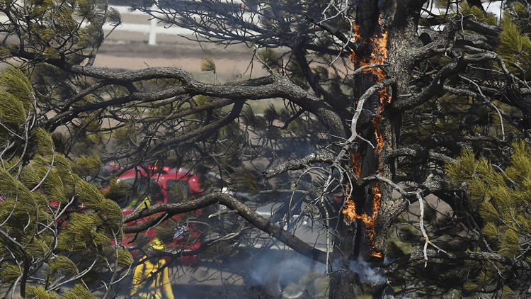 圖集丨美國西南部多州面臨野火蔓延威脅