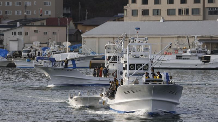 日本北海道失事觀光船公司認違反航行規定 12人仍失蹤