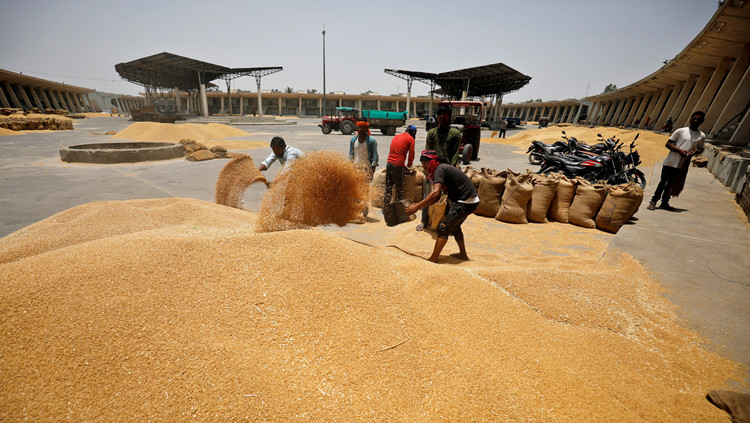 美國敦促印度取消小麥出口禁令 稱將加劇全球糧食短缺