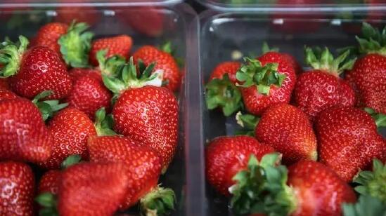 美國多州報告甲型肝炎感染 或與這兩種有機草莓有關