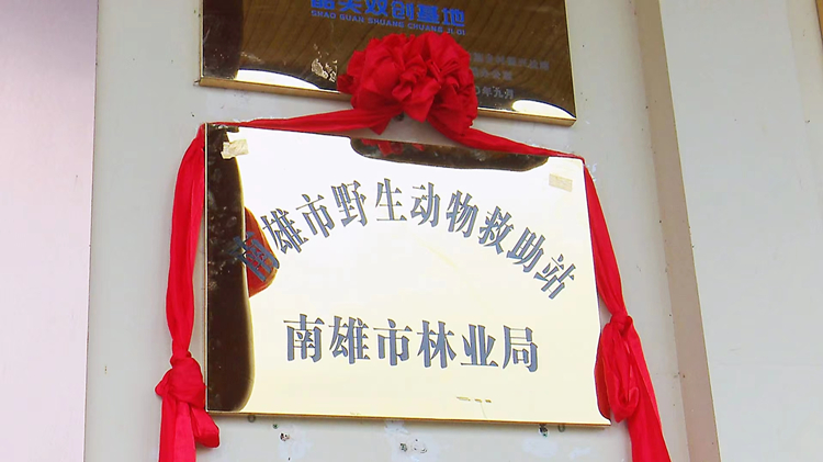 廣東南雄首個野生動物救護站掛牌成立