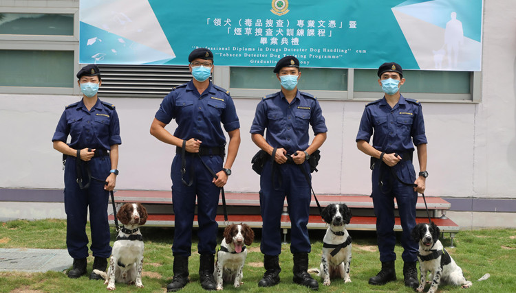 香港海關成立首支煙草搜查犬隊 加強堵截私煙能力
