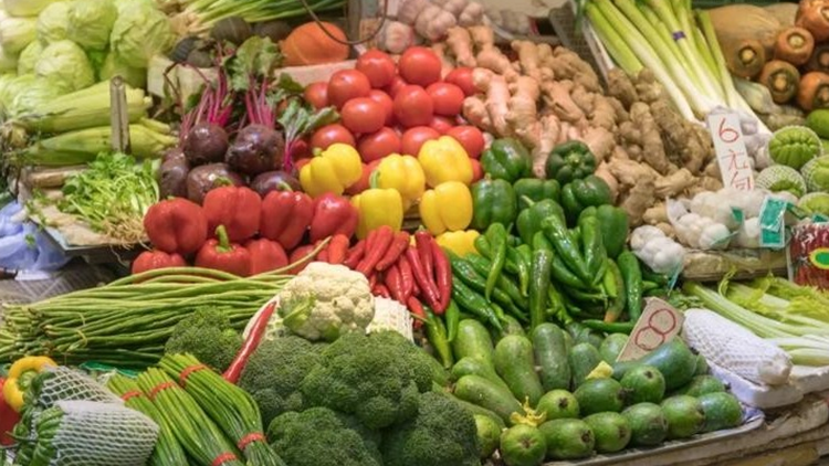 15日內地供港蔬菜逾2800公噸 鮮活食品供應充足穩定