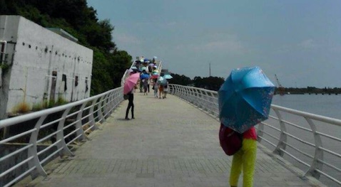 15日起進入末伏！深圳天氣「熱情」不減 本周有陣雨