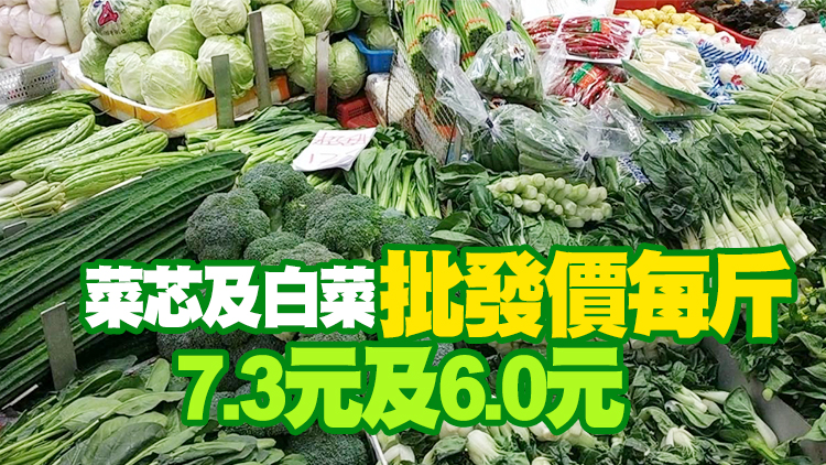 29日內地供港蔬菜逾2700公噸 鮮活食品供應充足穩定